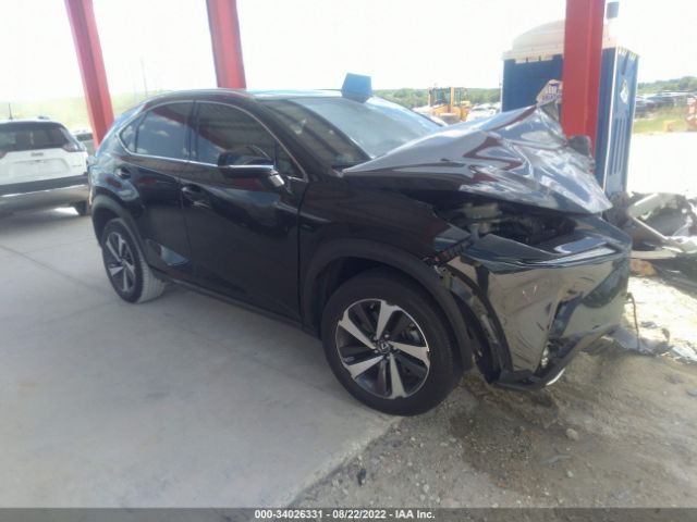 LEXUS NX 2019 jtjyarbz1k2136786