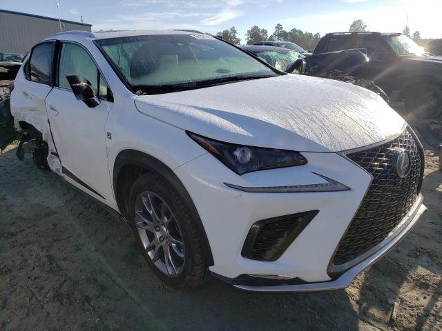 LEXUS NX 300 BAS 2019 jtjyarbz1k2149182