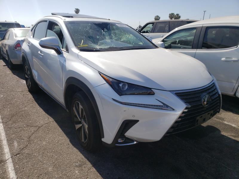 LEXUS NX 300 BAS 2019 jtjyarbz1k2156472