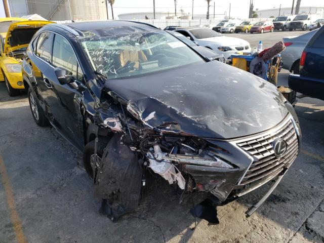 LEXUS NX 300 BAS 2019 jtjyarbz2k2117213