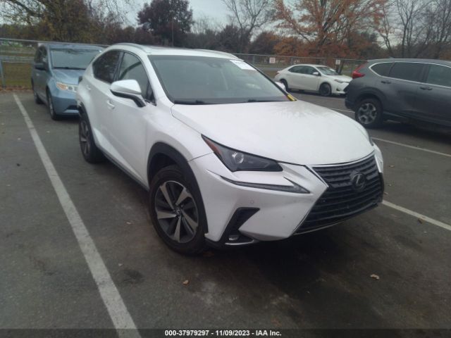 LEXUS NX 300 2019 jtjyarbz2k2120757