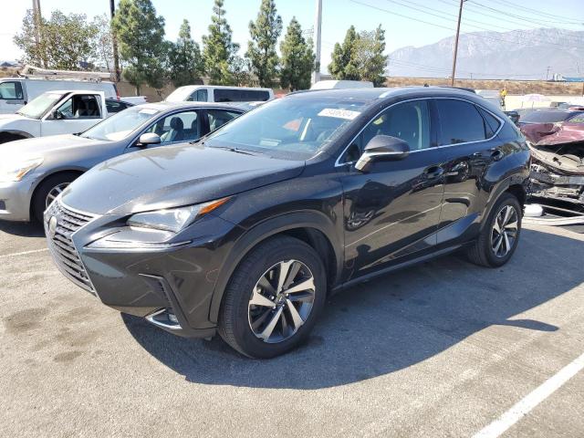 LEXUS NX 300 BAS 2019 jtjyarbz2k2122749