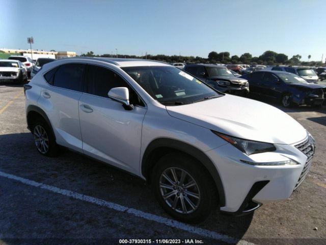 LEXUS NX 2019 jtjyarbz2k2124033