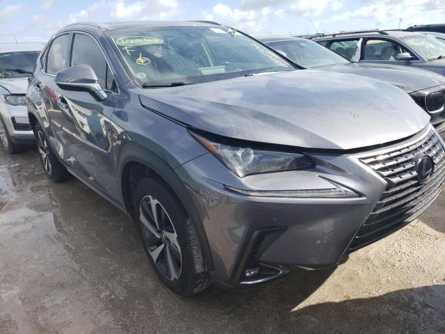 LEXUS NX 300 BAS 2019 jtjyarbz2k2127899