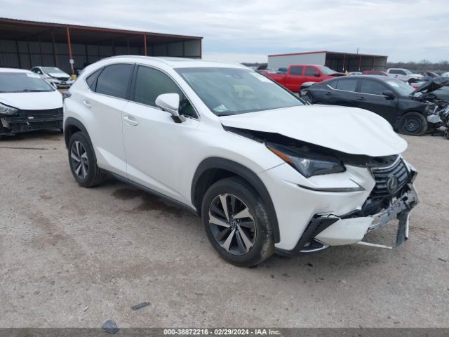 LEXUS NX 300 2019 jtjyarbz2k2132181