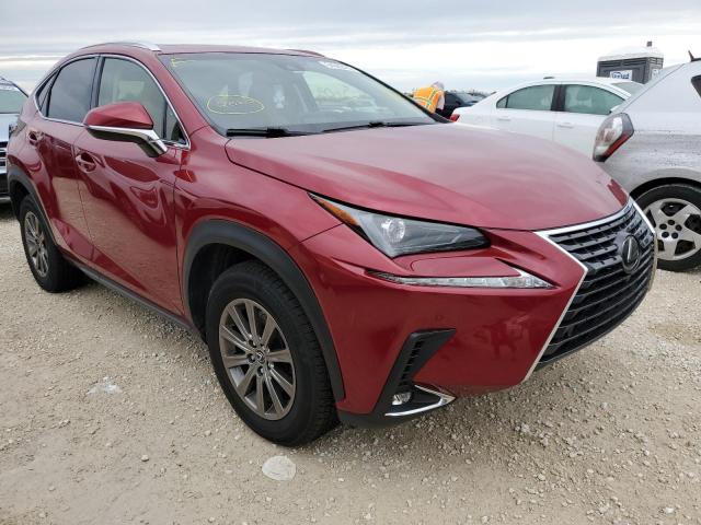 LEXUS NX 300 BAS 2019 jtjyarbz2k2137008