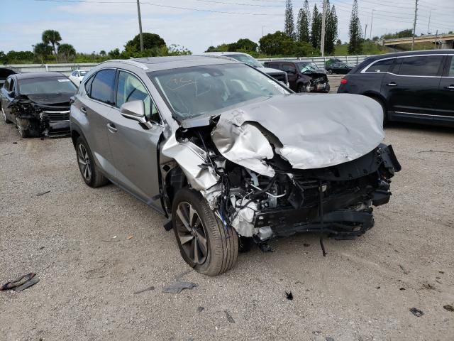 LEXUS NX 300 BAS 2019 jtjyarbz2k2139647