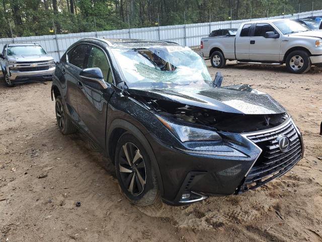 LEXUS NX 300 BAS 2019 jtjyarbz2k2146789