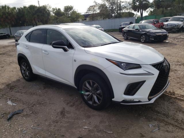 LEXUS NX 300 BAS 2019 jtjyarbz2k2155573