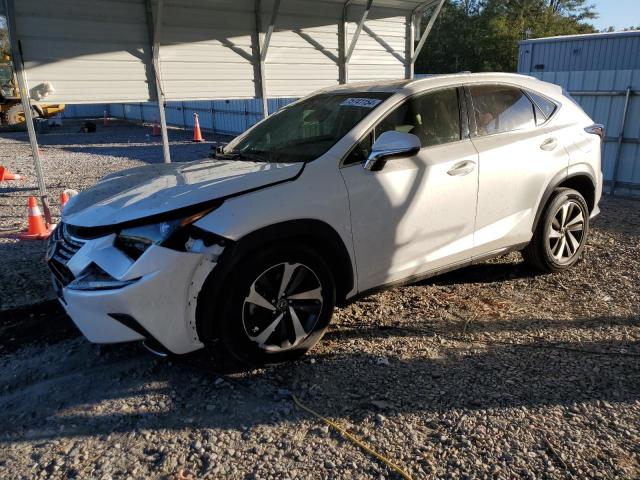 LEXUS NX 300 BAS 2019 jtjyarbz2k2156187