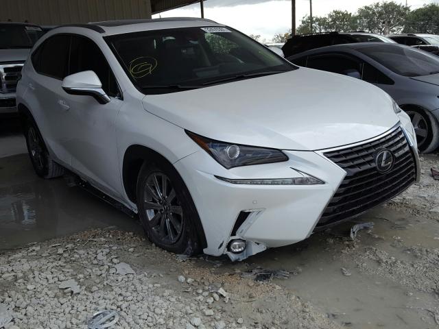 LEXUS NX 300 BAS 2019 jtjyarbz2k2157307