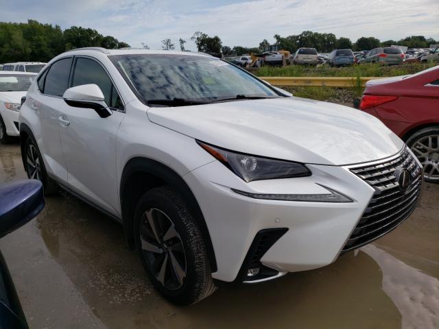 LEXUS NX 300 BAS 2018 jtjyarbz3j2110902