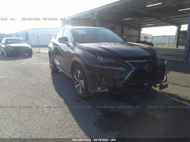 LEXUS NX 300 2018 jtjyarbz3j2116490