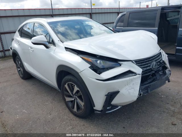 LEXUS NX 2019 jtjyarbz3k2125028