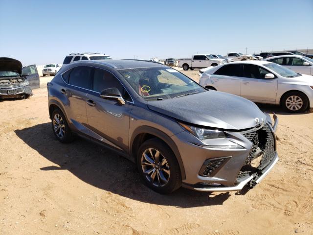 LEXUS NX 300 BAS 2019 jtjyarbz3k2126812