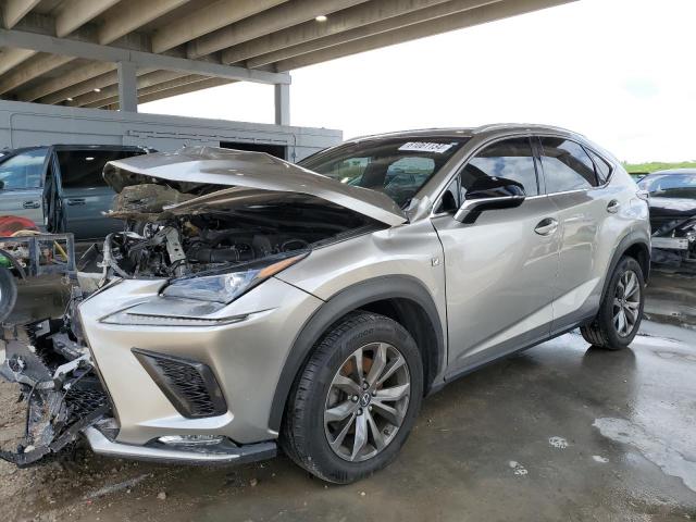 LEXUS NX 300 BAS 2019 jtjyarbz3k2136448