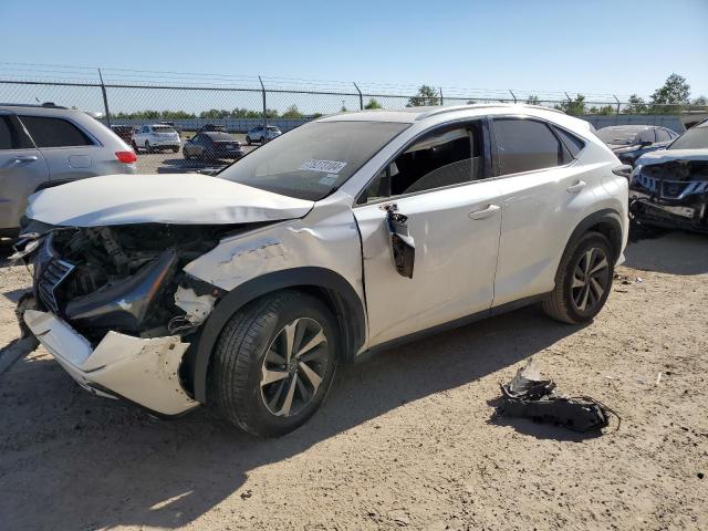 LEXUS NX 300 BAS 2019 jtjyarbz3k2144887