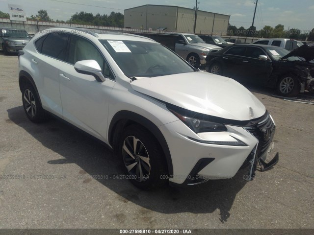 LEXUS NX 2019 jtjyarbz3k2149667