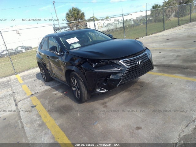 LEXUS NX 2019 jtjyarbz3k2151483