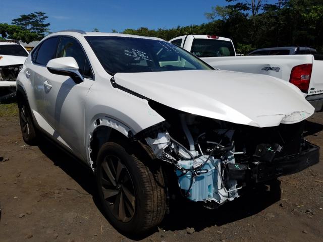 LEXUS NX 300 BAS 2019 jtjyarbz4k2120503