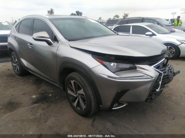 LEXUS NX 2019 jtjyarbz4k2120744