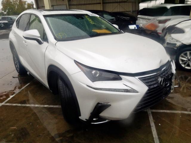 LEXUS NX 300 BAS 2019 jtjyarbz4k2121604