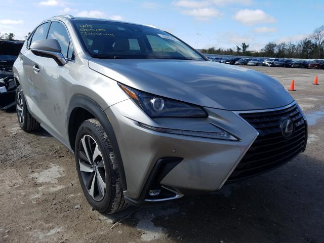 LEXUS NX 300 BAS 2019 jtjyarbz4k2129119