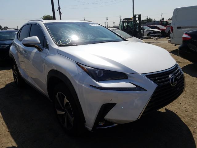 LEXUS NX 2019 jtjyarbz4k2132375