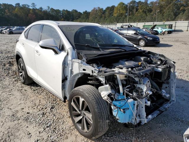 LEXUS NX 300 BAS 2019 jtjyarbz4k2140265