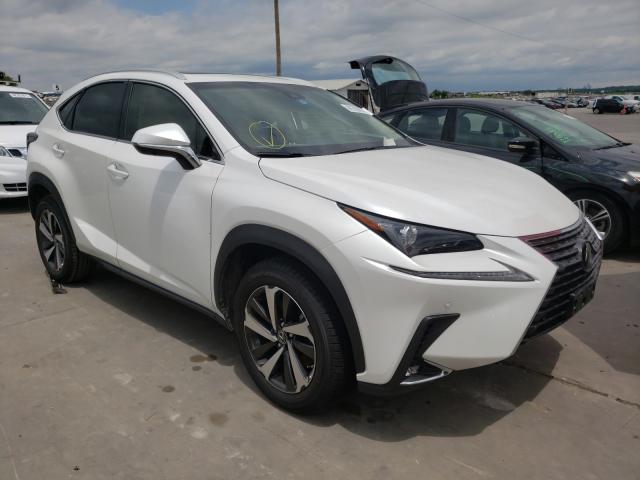 LEXUS NX 300 BAS 2019 jtjyarbz4k2157311