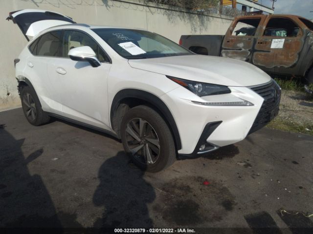 LEXUS NX 2019 jtjyarbz4k2157423