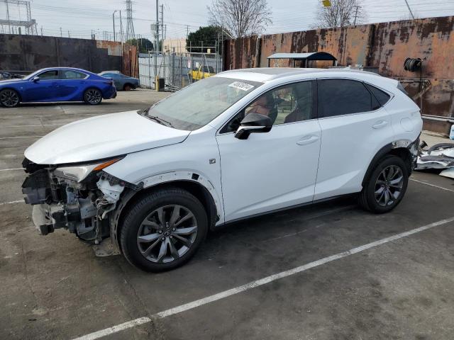 LEXUS NX 2019 jtjyarbz5k2119327