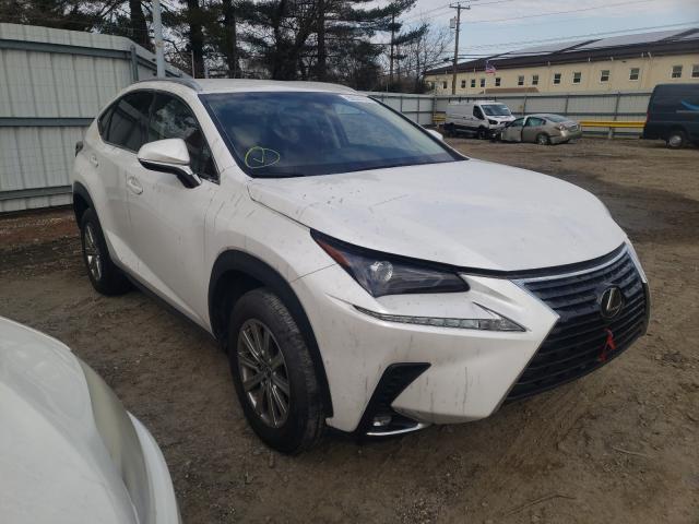 LEXUS NX 300 BAS 2019 jtjyarbz5k2125998