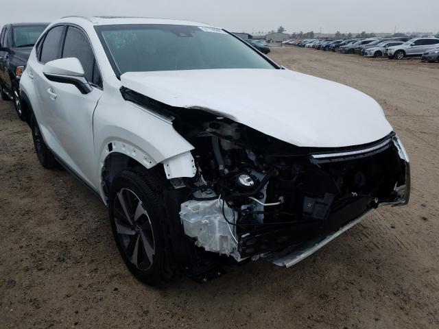 LEXUS NX 2019 jtjyarbz5k2132756