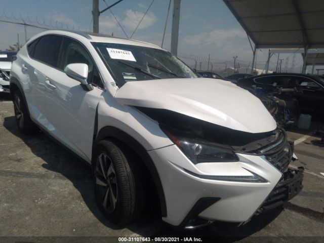 LEXUS NX 2019 jtjyarbz5k2133194