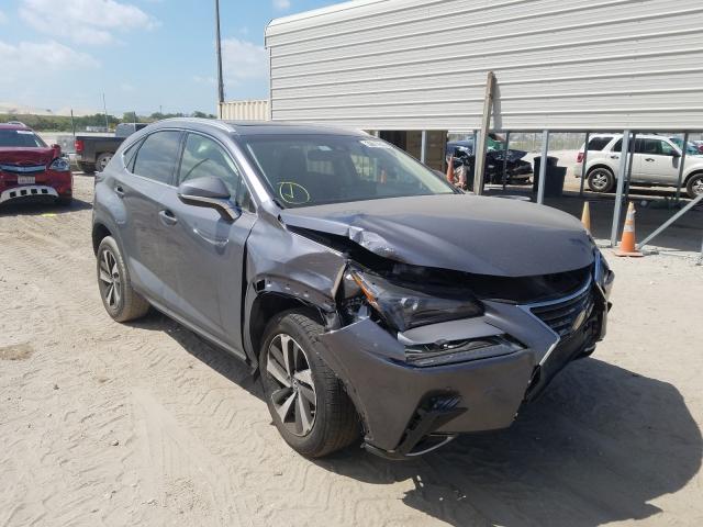 LEXUS NX 300 2019 jtjyarbz5k2149248