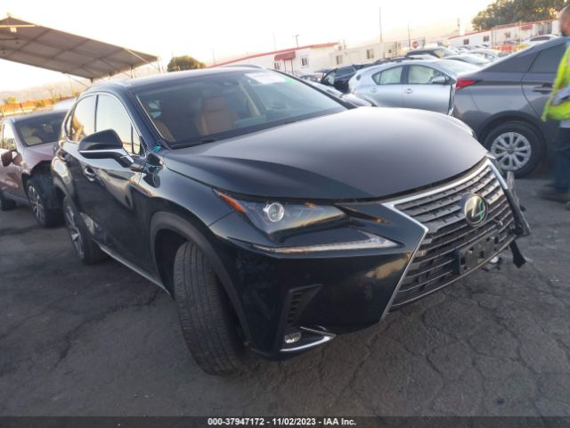 LEXUS NX 300 2019 jtjyarbz5k2151808