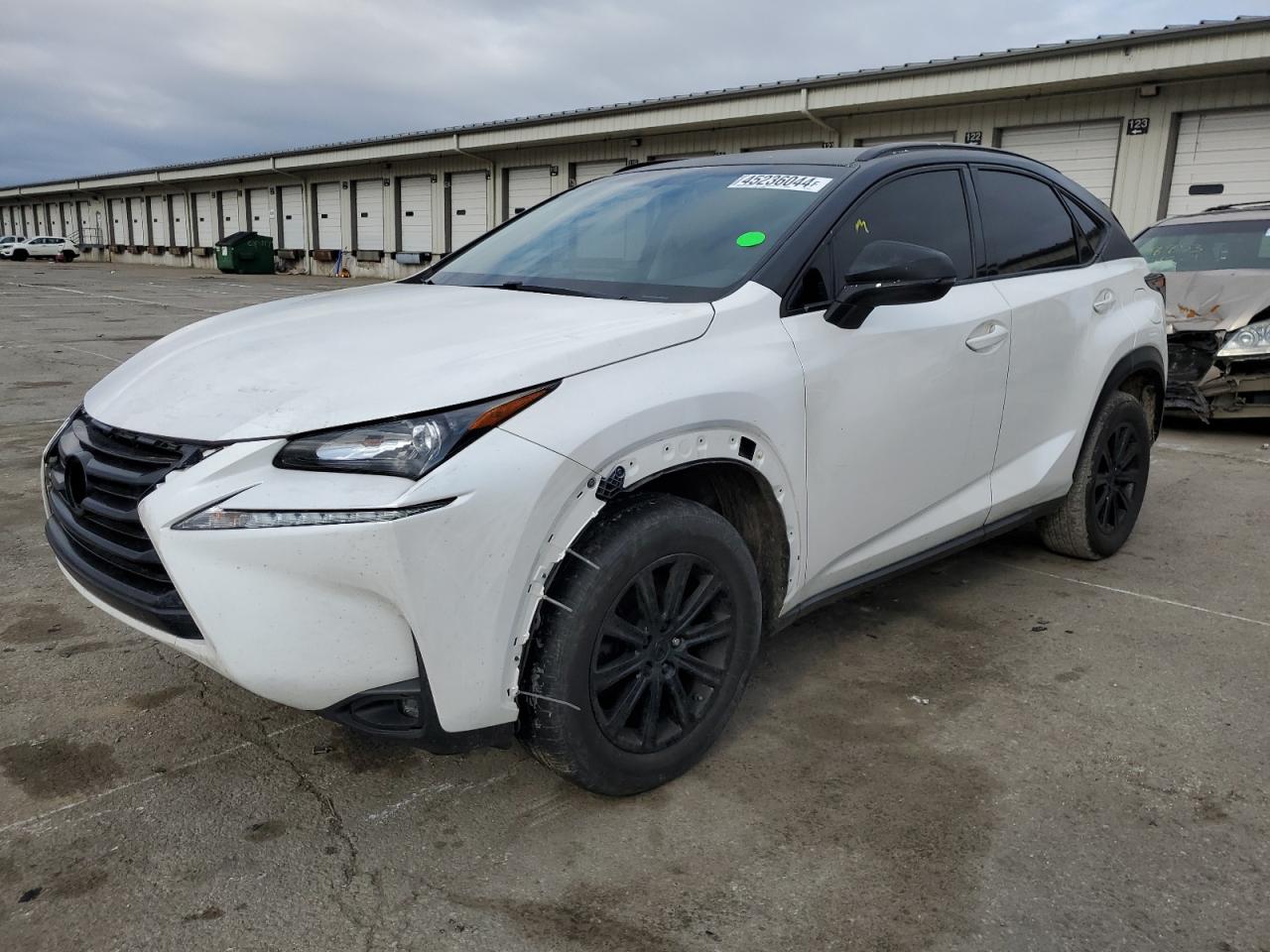 LEXUS NX 2017 jtjyarbz6h2078604