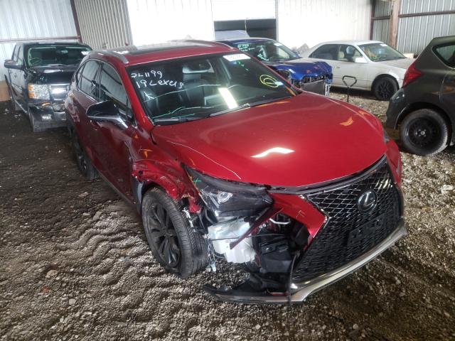 LEXUS NX 300 BAS 2019 jtjyarbz6k2118445