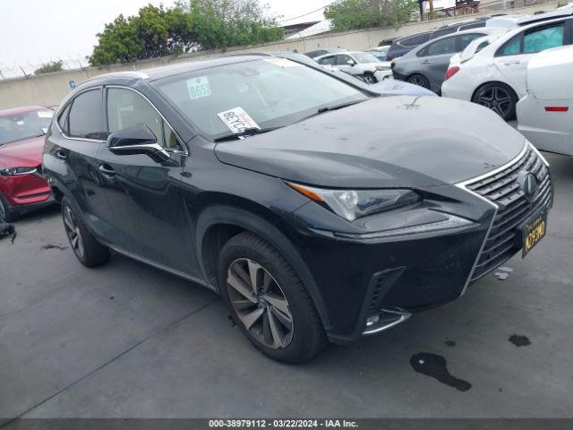 LEXUS NX 300 2019 jtjyarbz6k2122981