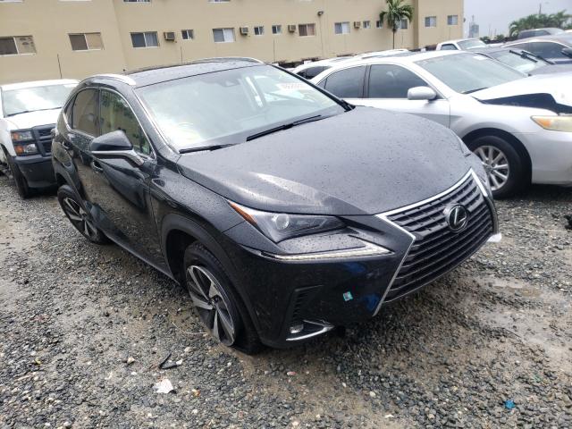 LEXUS NX 300 BAS 2019 jtjyarbz6k2124861