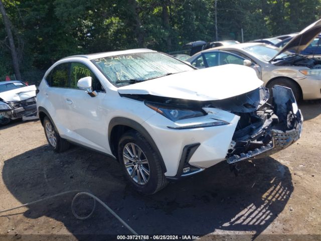 LEXUS NX 300 2019 jtjyarbz6k2134628