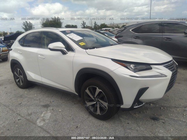 LEXUS NULL 2019 jtjyarbz6k2138100