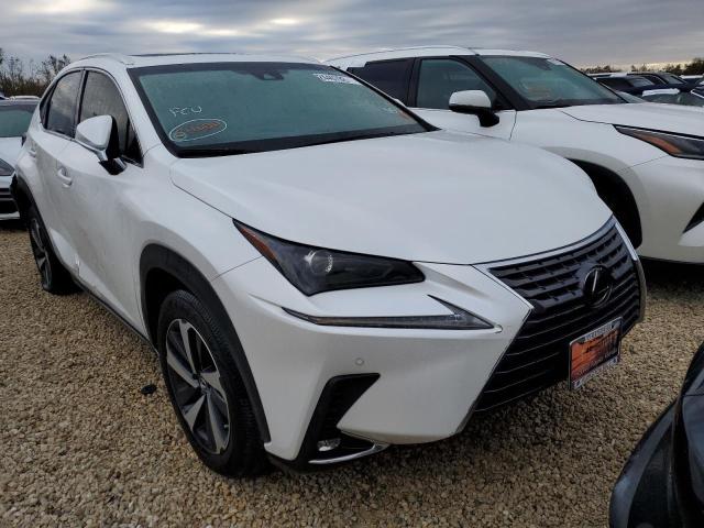 LEXUS NX 300 BAS 2019 jtjyarbz6k2151736