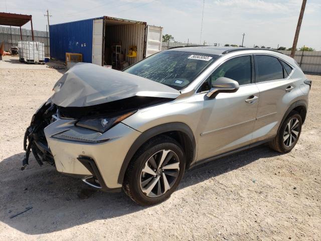 LEXUS NX 300 BAS 2019 jtjyarbz6k2155382