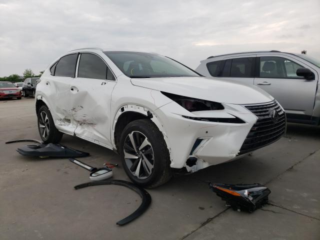 LEXUS NX 300 BAS 2019 jtjyarbz6k2157522