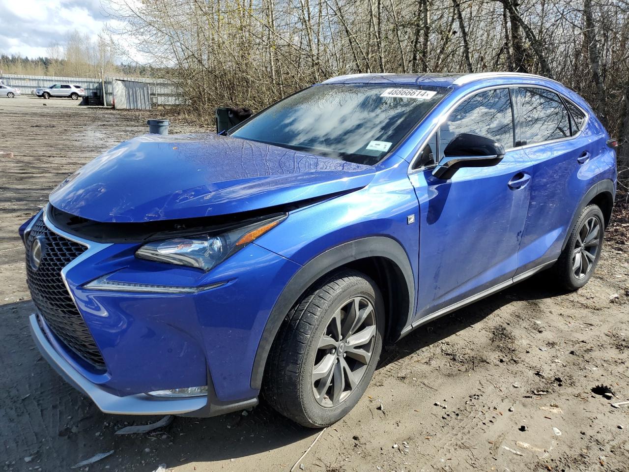 LEXUS NX 2015 jtjyarbz7f2013810