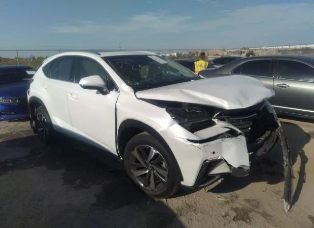 LEXUS NX 2019 jtjyarbz7k2128157