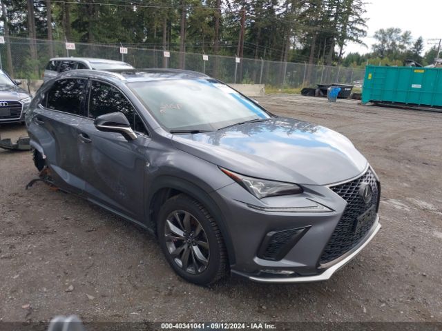 LEXUS NX 2019 jtjyarbz7k2128238