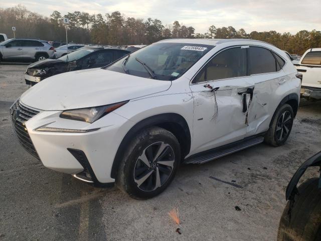 LEXUS NX 300 BAS 2019 jtjyarbz7k2133150